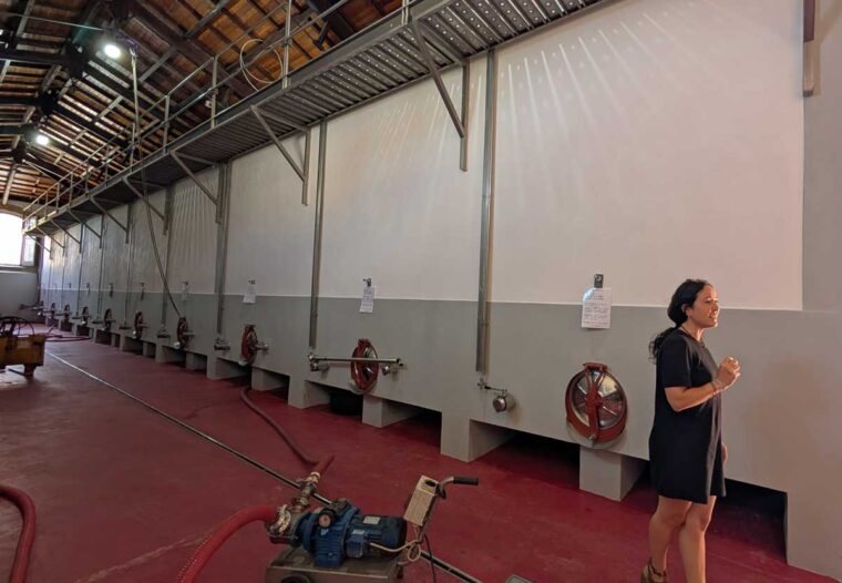 Concrete vats at Tonnino Winery