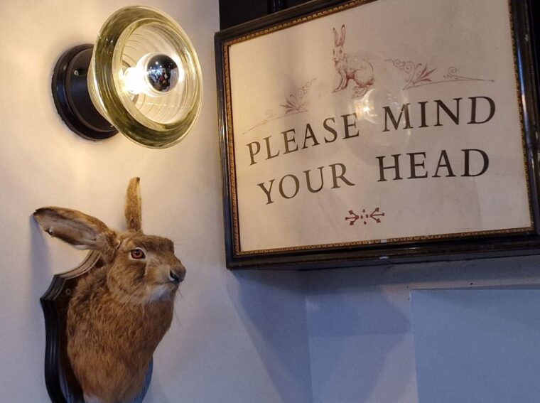 A sign reading Please Mind Your Head alongside the stuffed head of a hare.