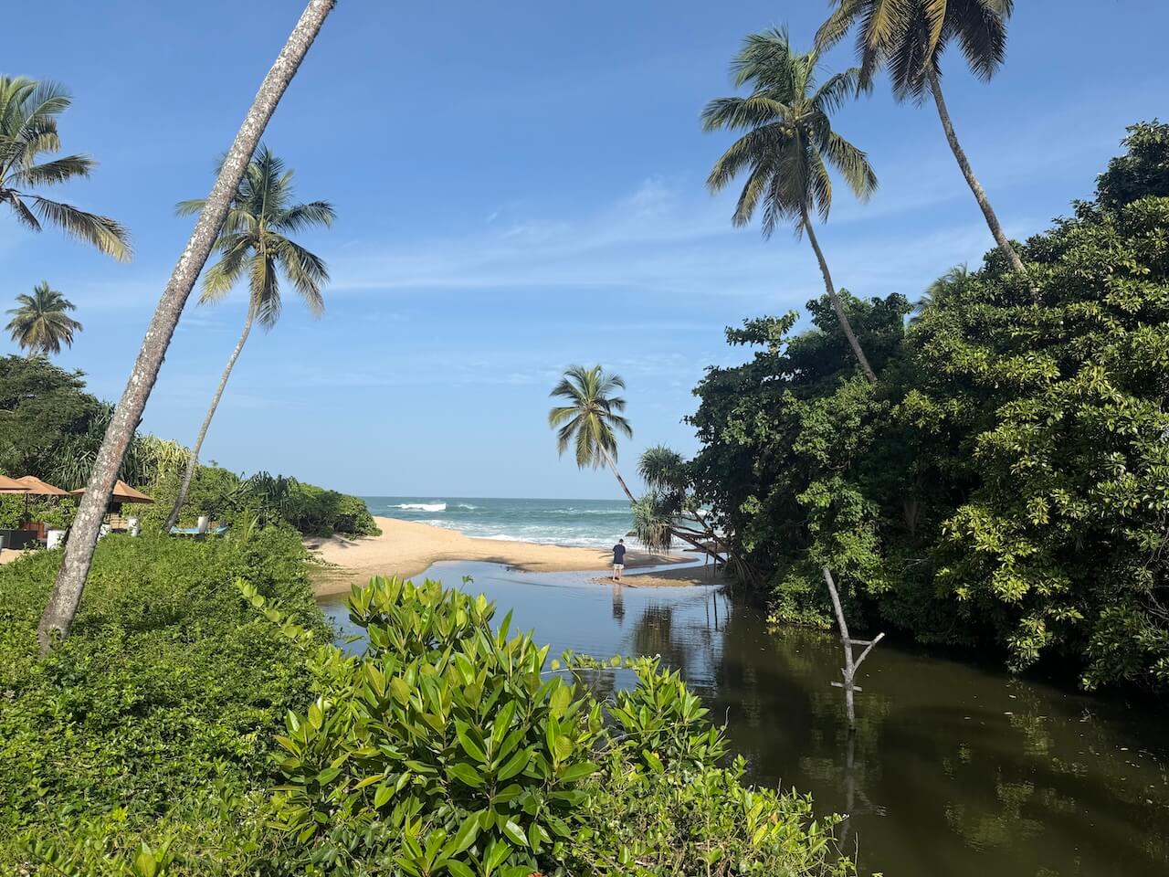 Anantara Peace Haven sea view