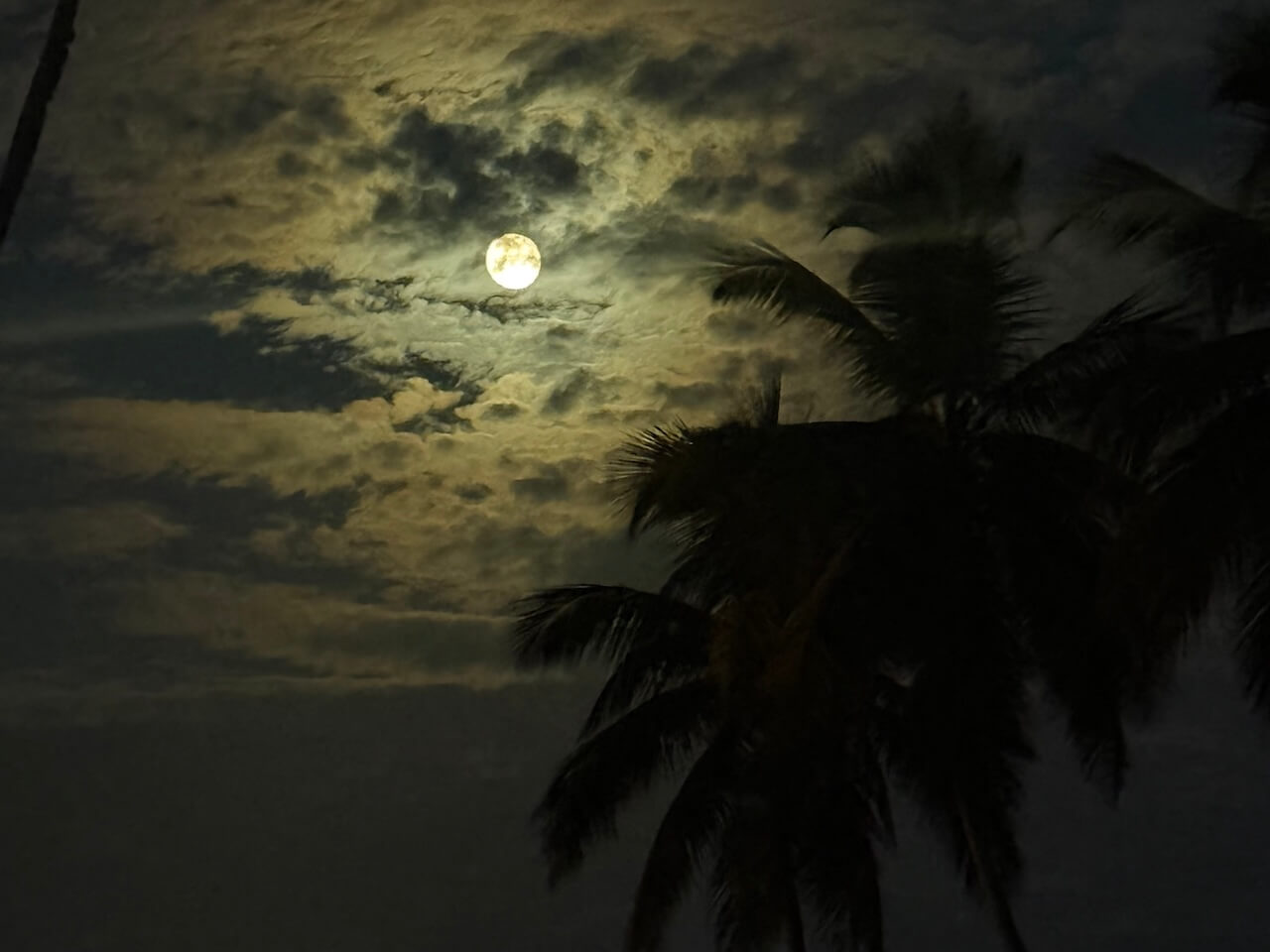 Moon light Anantara Peace Haven