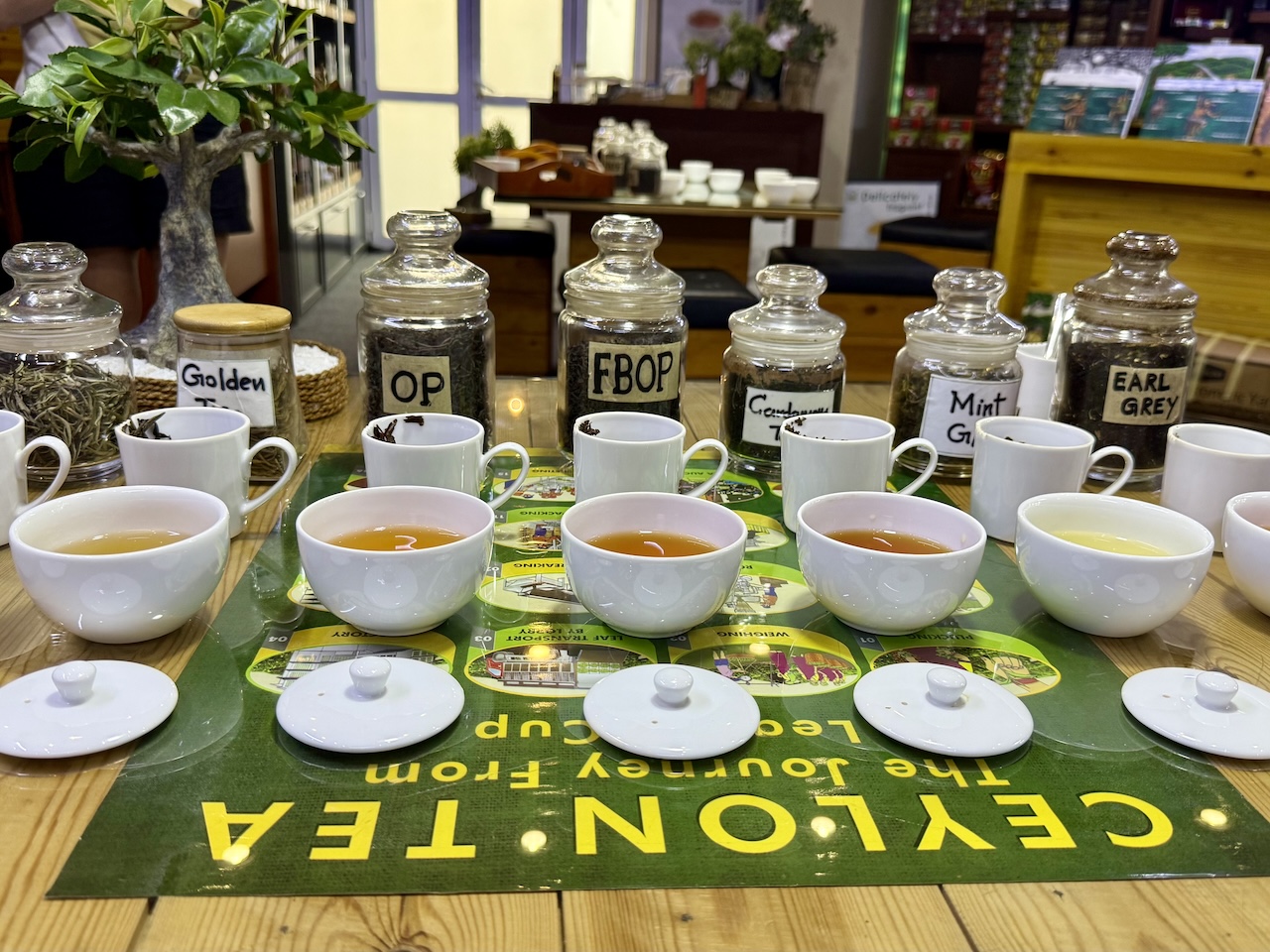 Pilimathalawa Tea Factory, tea tasting
