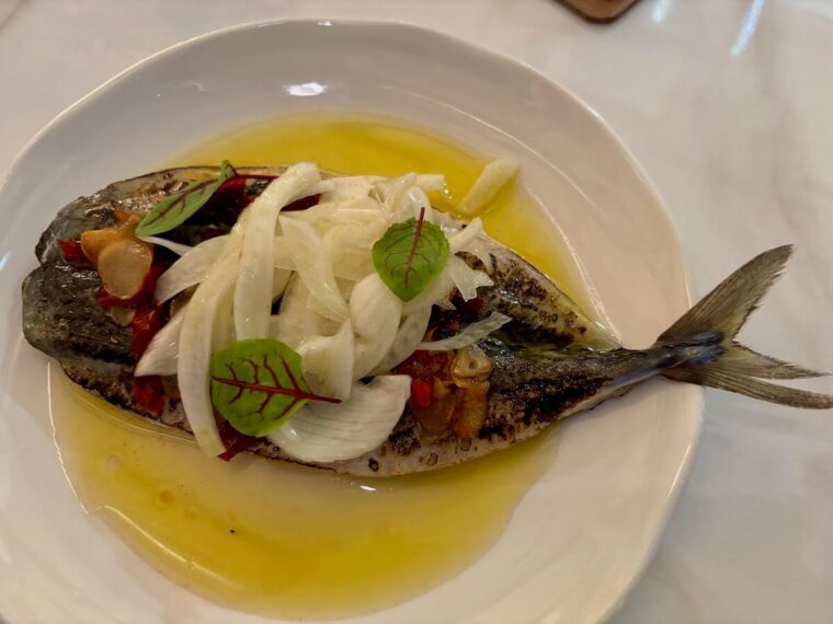 Rottura mackerel
