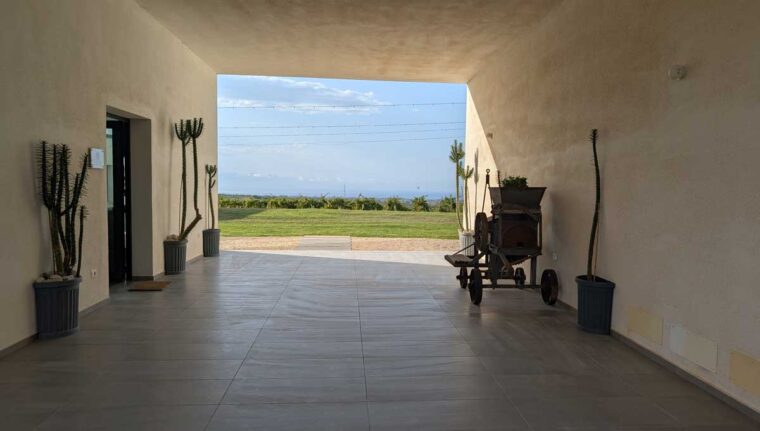 Tolo Winery with Sicilia DOC