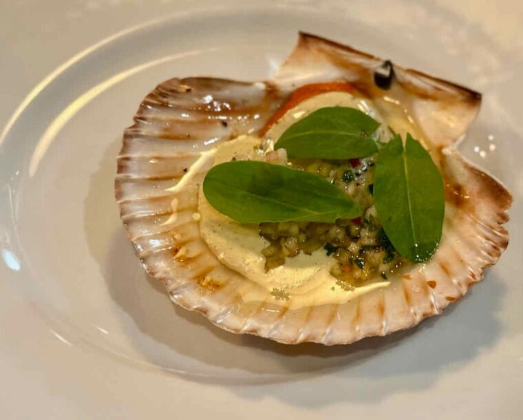 Lulworth scallop