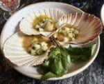 The Shed - Scallops
