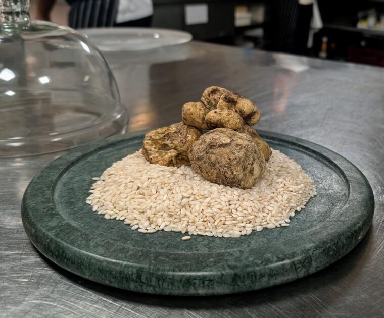 White truffle on Rice - The Lansdowne Club