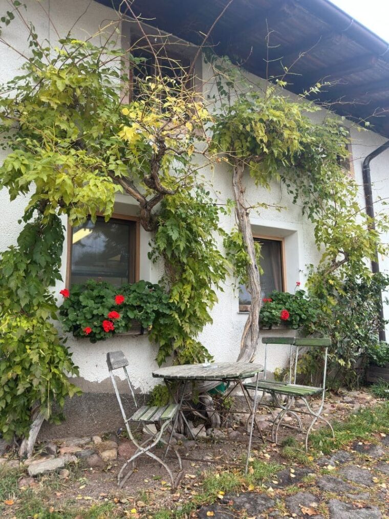 Farmhouse restaurant in South Tyrol