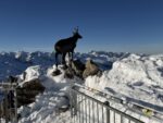 Goat statue at Top Mountain star Gurgl