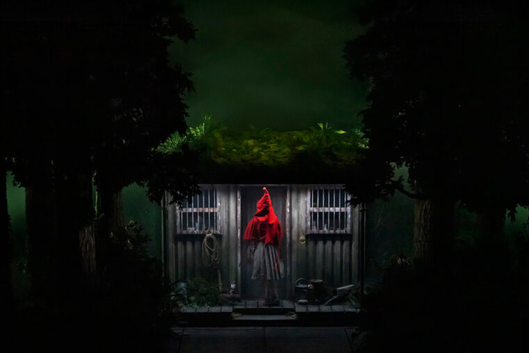 Gracie McGonigal Into the Woods