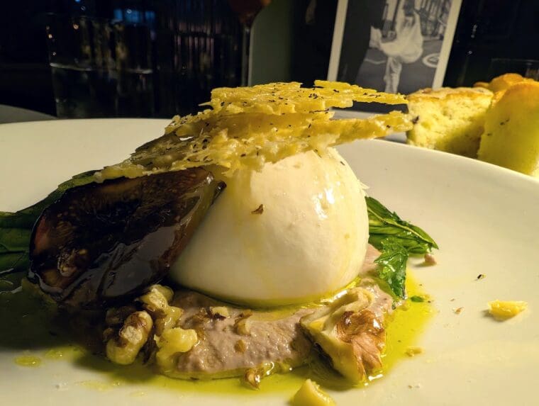 Italian Greyhound burrata