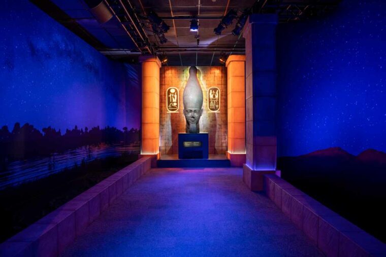 Head of a Colossal Statue of Ramses II - Ramses and the Pharaohs' Gold © NEON_World Heritage Exhibitions 2