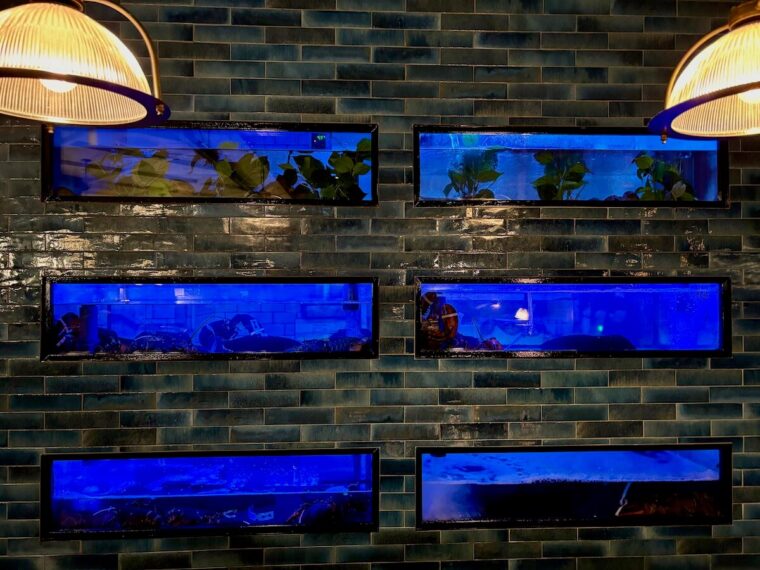 Burger & Lobster Soho lobster tank