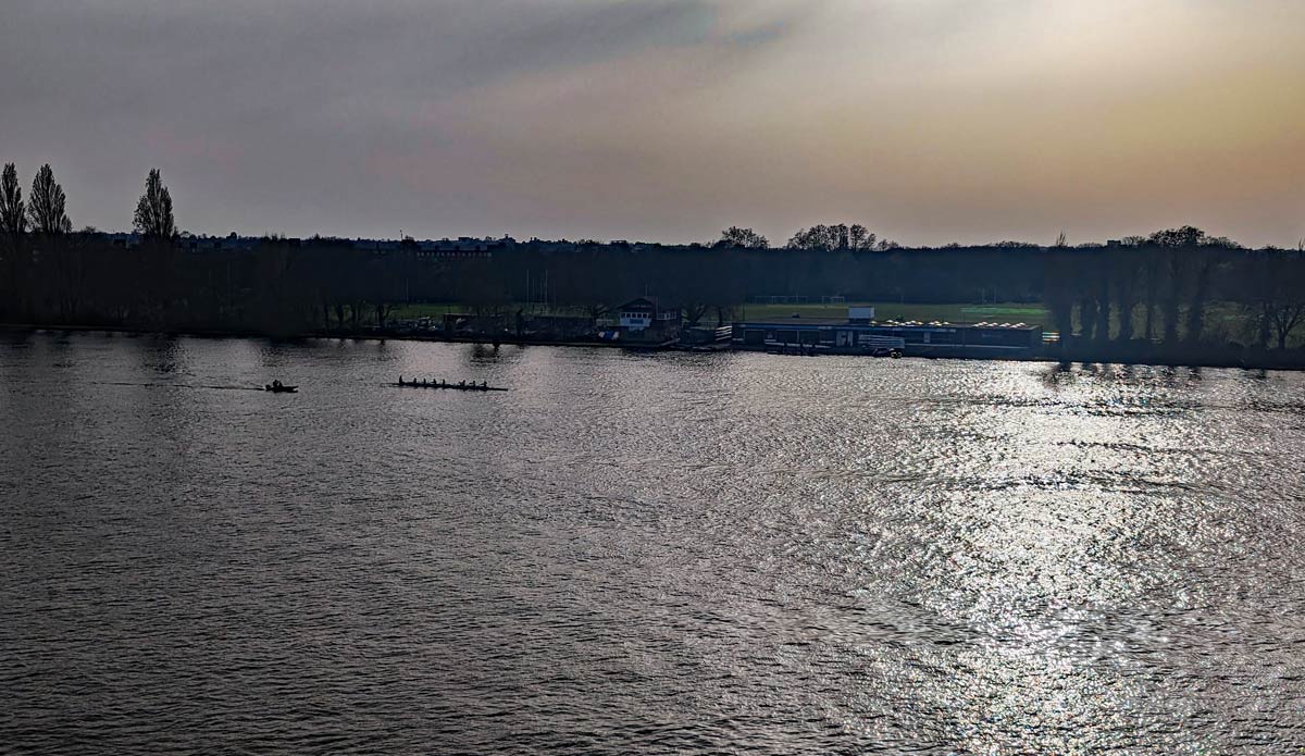 Rowers on the River from Fulham Pier Hotel