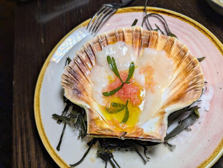 Mandrake Yopo Zaytoun scallops