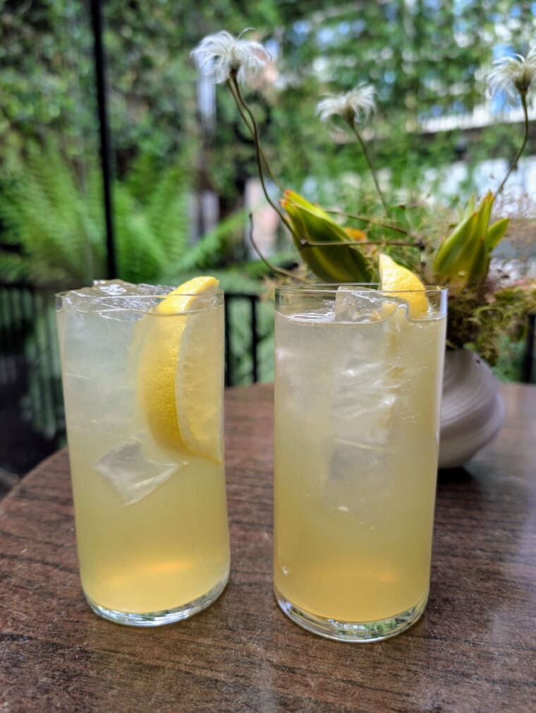 Mandrake Yopo Zaytoun cocktails