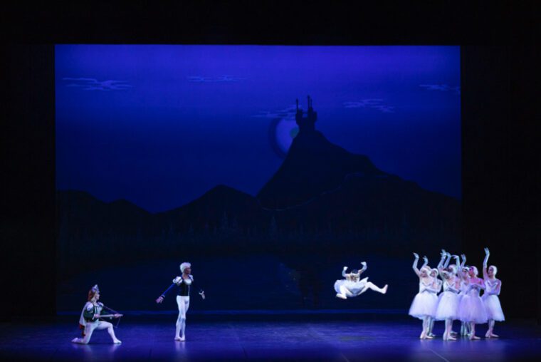 A scene fromn Swan Lake, Act II. On the right of the picture a group to swans, arms raise. On the left the Princ and his friend Benno. In the middle Odette throws a tantrum.