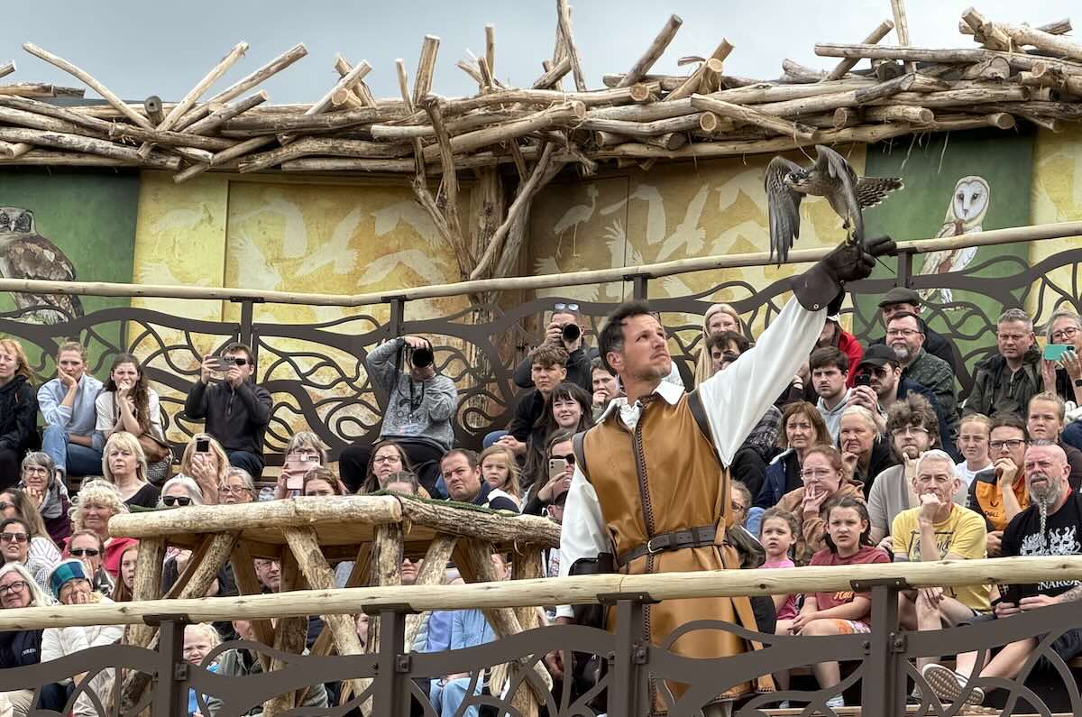 Kynren - The Storied Lands, The Lost Feather, falcon