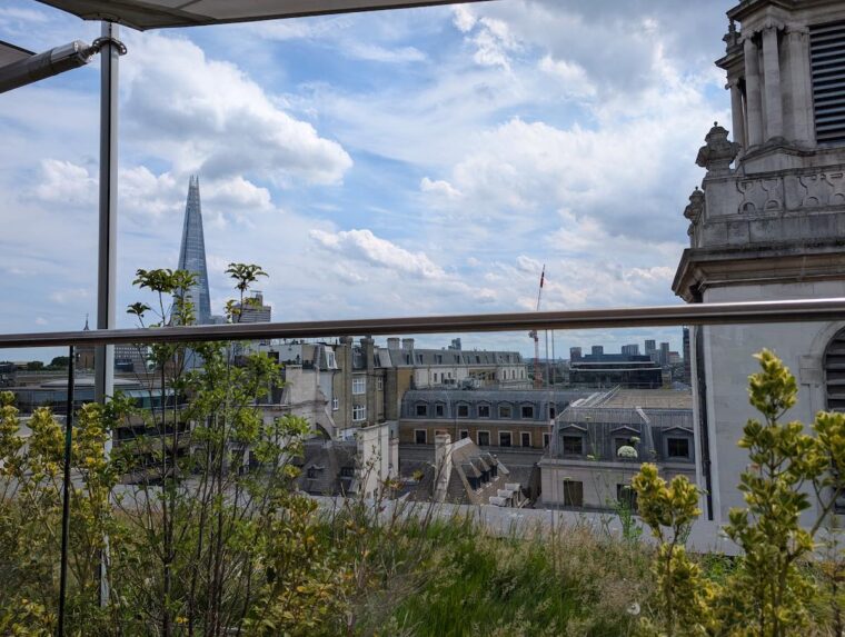 Mercer Minuty Terrace, Vintry and Mercer view