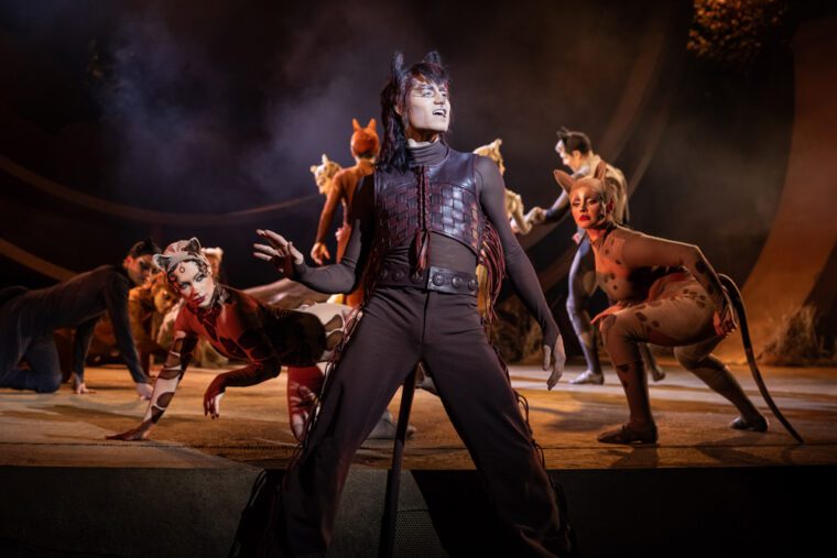 CATS 2026 - Jaydon Vijn (Rum Tum Tugger) - Credit Mark Senior