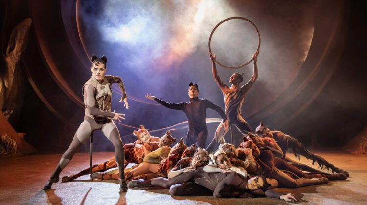 CATS - Jack Wilcox (Munkustrap), Jay Yau (Quaxo), Dianté Lodge (Admetus) - Credit Mark Senior