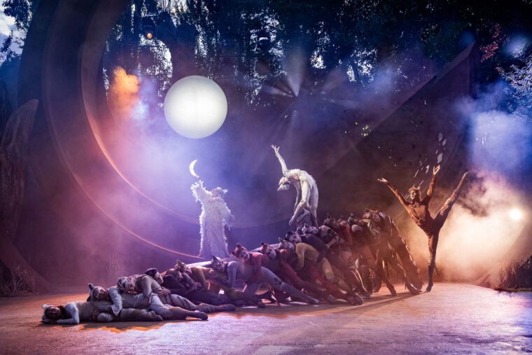 Cast of CATS - Credit Mark Senior