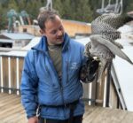 Bird of prey with handler