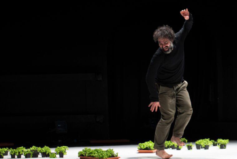 Dance Umbrella 26 The bearded performer in khaki trousers and black pullover dances barefoor amid pots of green plants