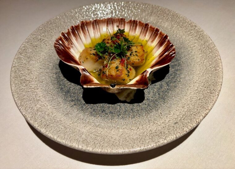 Bocconcino scallops.jpeg