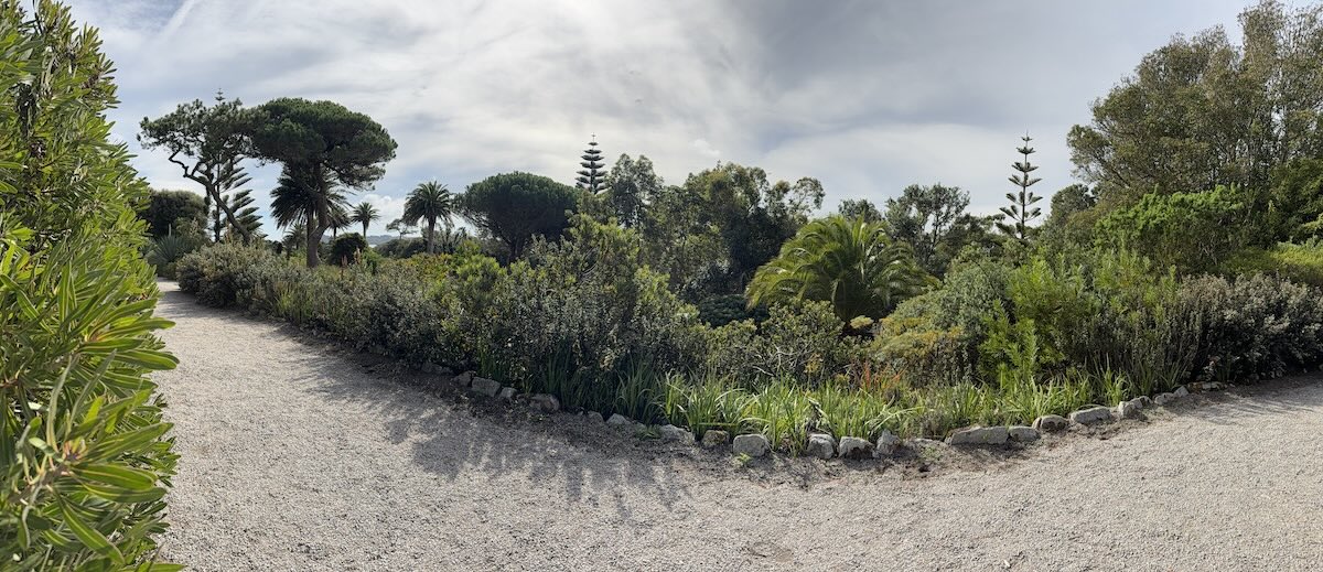 Tresco Garden planting Isles of Scilly