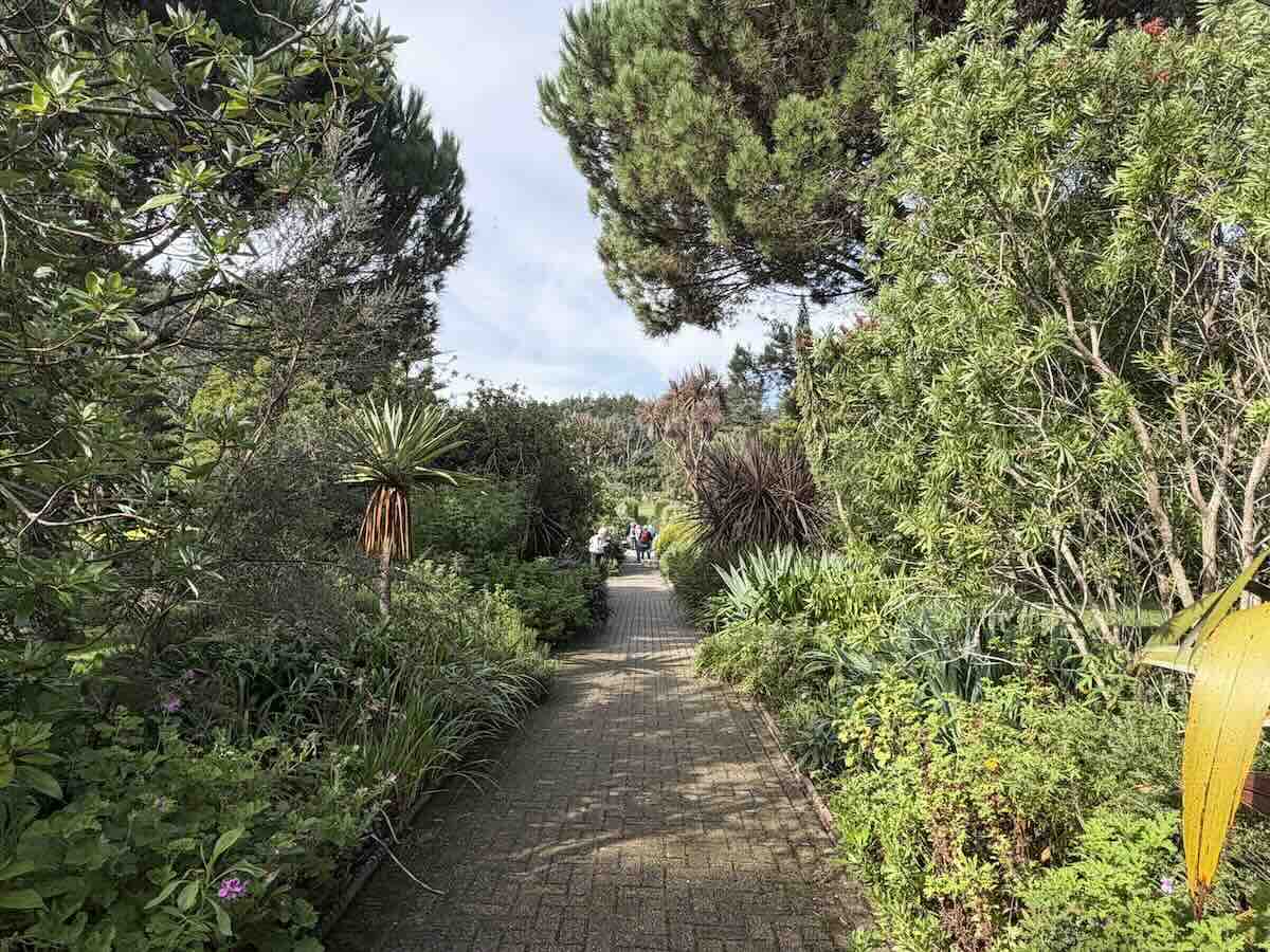 Vista Tresco Abbey Garden Isles of Scilly