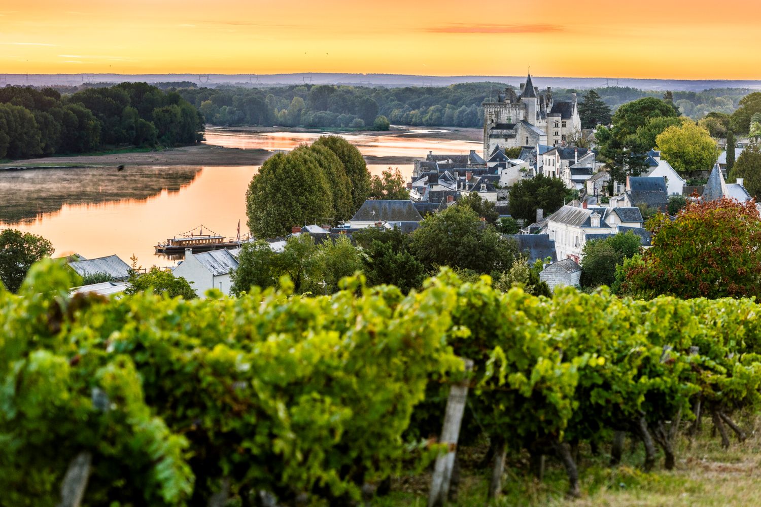 Sweeping view of Montsoreau in Anjou Loire Valley