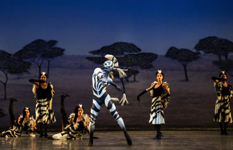 A Centenary Celebration: a dancer costumed as a zebra stands imthje centre surrounded by woman in elegant costumes, their pleated skirts evoking the zebra's stripes