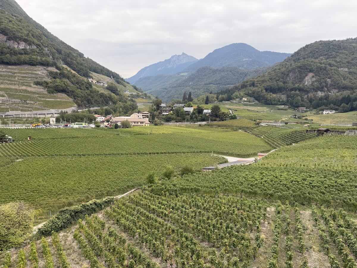 Chablais Vineyards Aigle